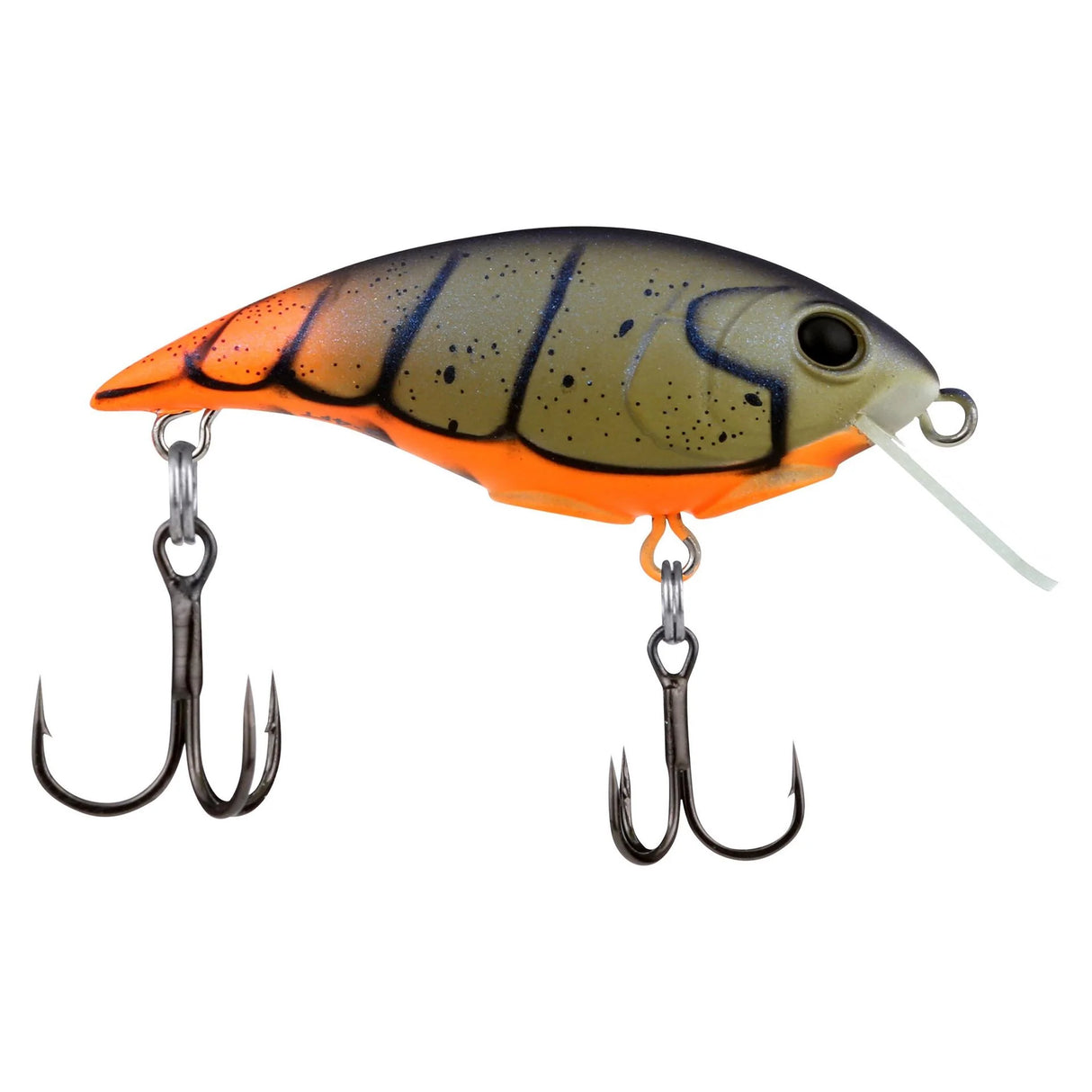 Berkley Shallow Money Badger