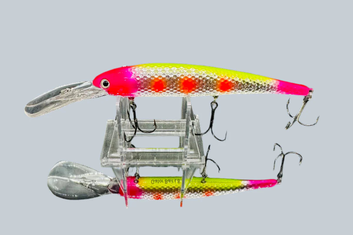 Gator Bait Lake Erie Slammer