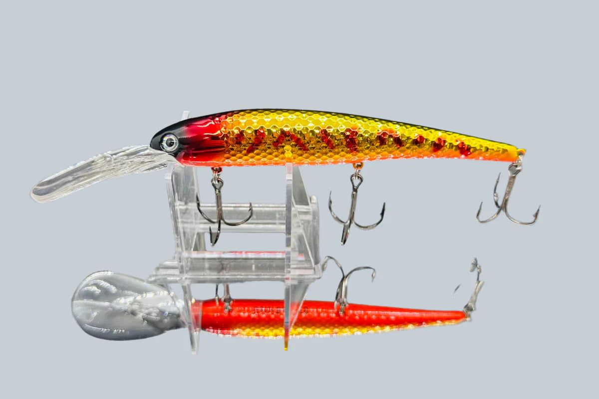 Gator Bait Lake Erie Slammer