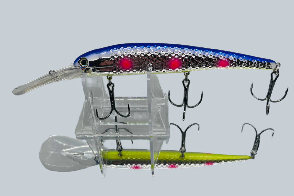 Gator Bait Lake Erie Slammer