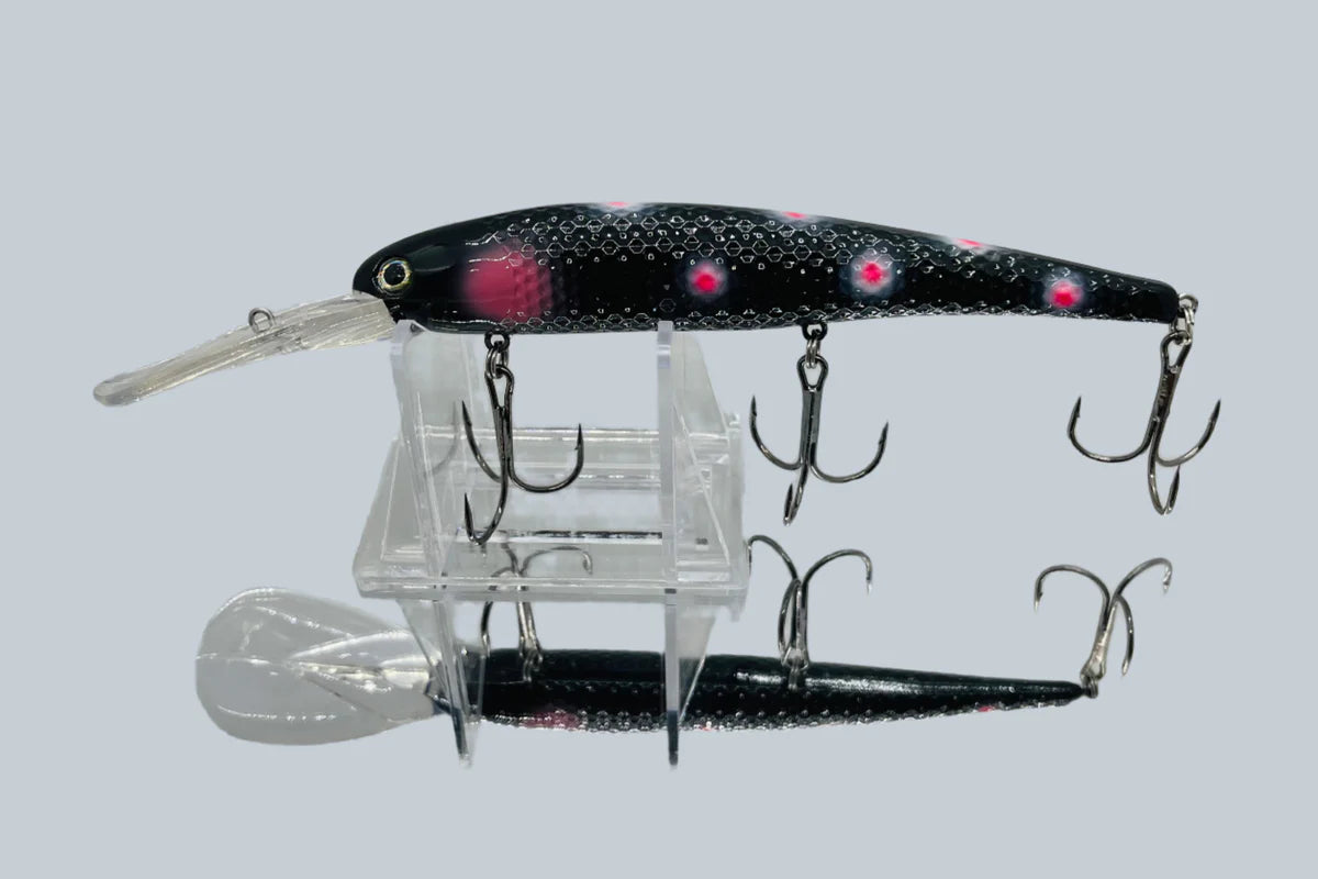 Gator Bait Lake Erie Slammer