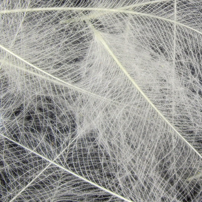 Wapsi CDC Cul-De-Canard Feathers