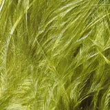 Wapsi Strung Marabou