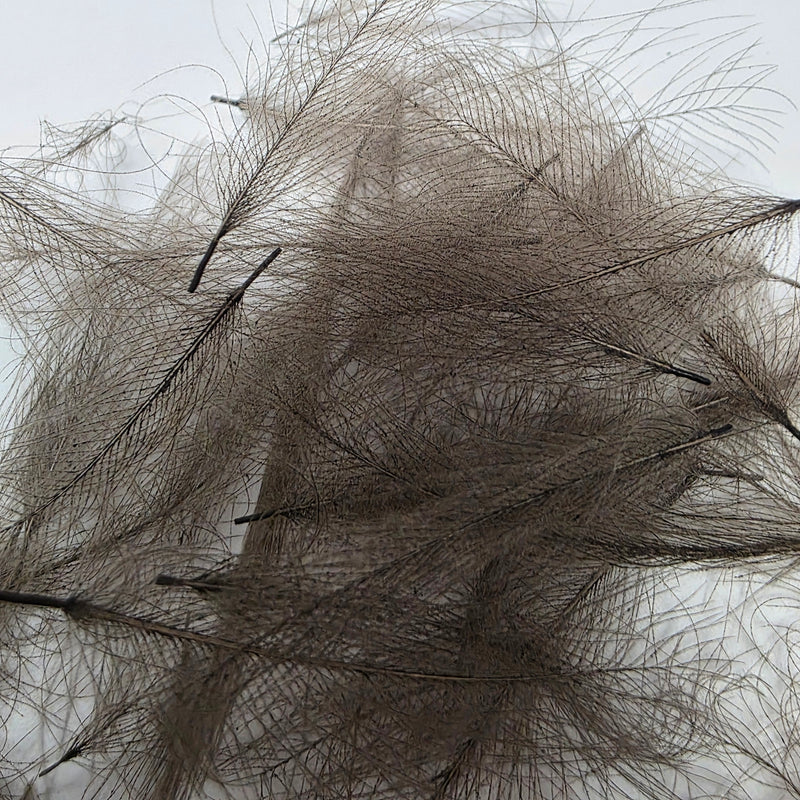 Wapsi CDC Cul-De-Canard Feathers
