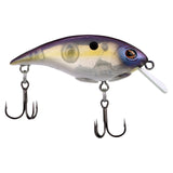 Berkley Shallow Money Badger