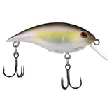 Berkley Shallow Money Badger