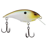 Berkley Shallow Money Badger