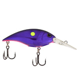 Berkley Money Badger