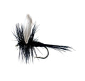 Black Gnat Dry Fly