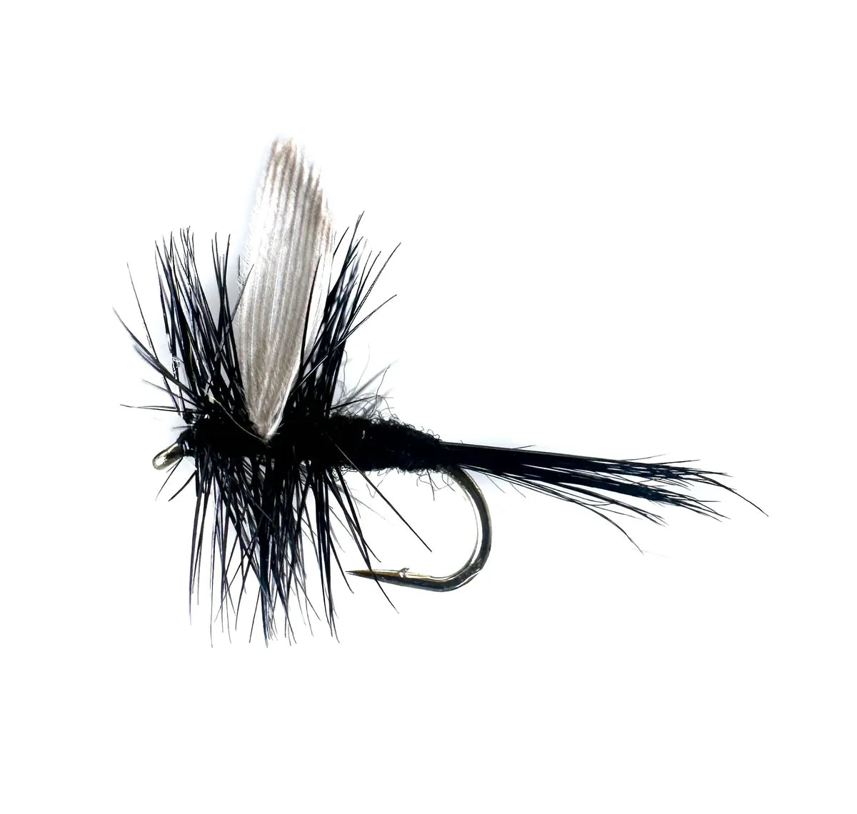 Black Gnat Dry Fly