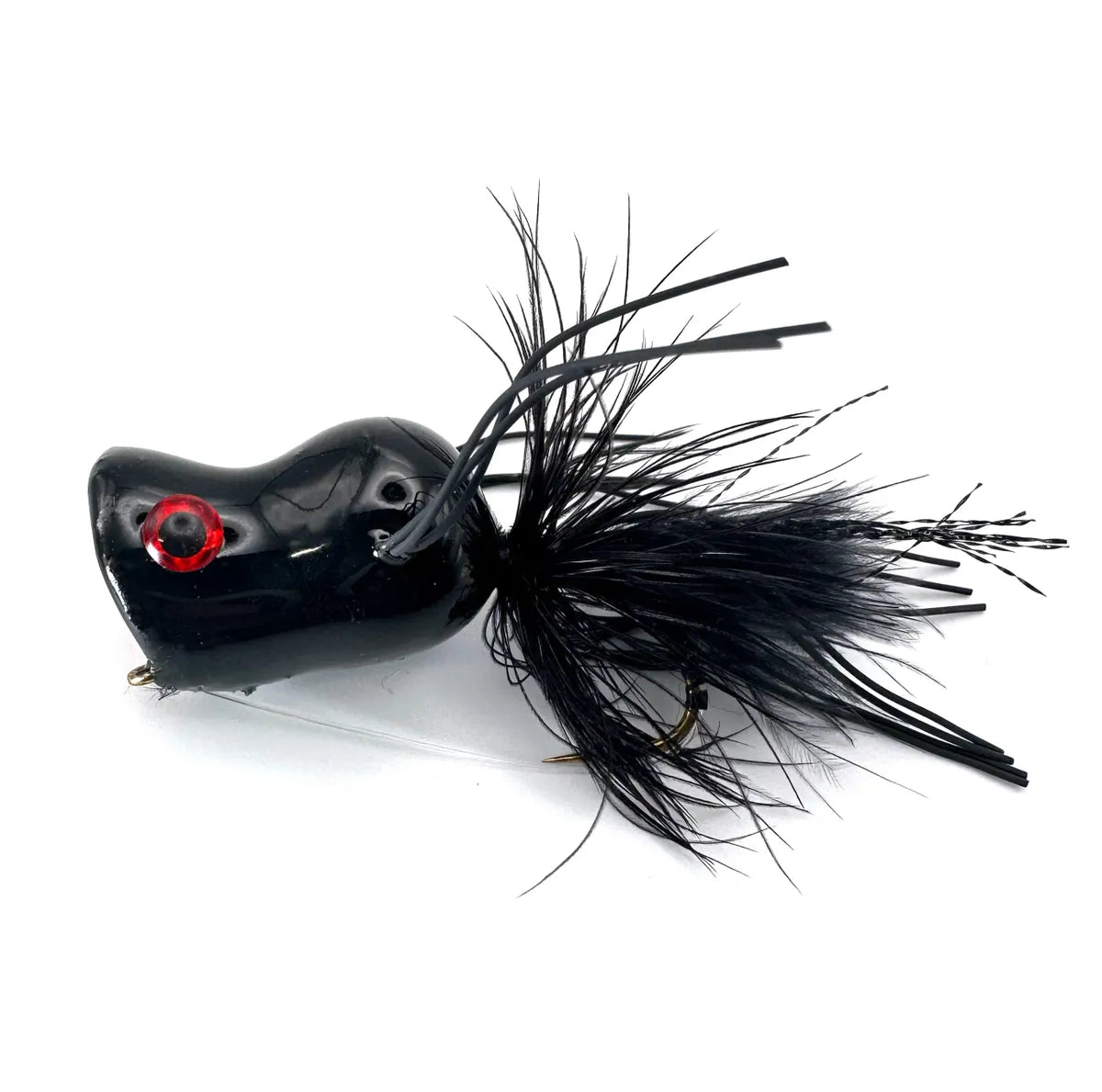 Black Pot Belly Frog