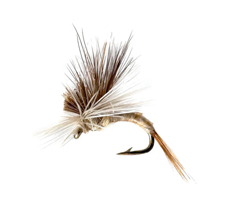 Fly fishing, Blue Winged Olive Emerger, BWO Emerger, Mayfly Emerger, Trout Lure, Barbed Hook, Fly Fishing Gear, Fly Patterns, Fly Tying, Fishing Lures, Dry Fly Fishing, Trout Fishing, Sizes #18 #20, Spring Fishing, Fall Fishing, Match the Hatch, Baetis.