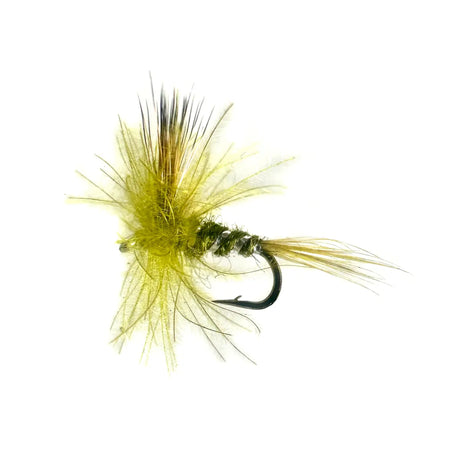 CDC Pale Olive Dry Fly in sizes #16 and #18. This subtle, realistic CDC pattern is essential for selective trout during hatches of small pale olive mayflies.