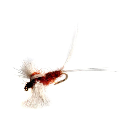 CDC Rusty Spinner dry fly, an essential pattern for mayfly spinner falls. With realistic CDC wings and a rusty body, this fly in sizes #14, #16, and #18 is perfect for selective trout in technical water