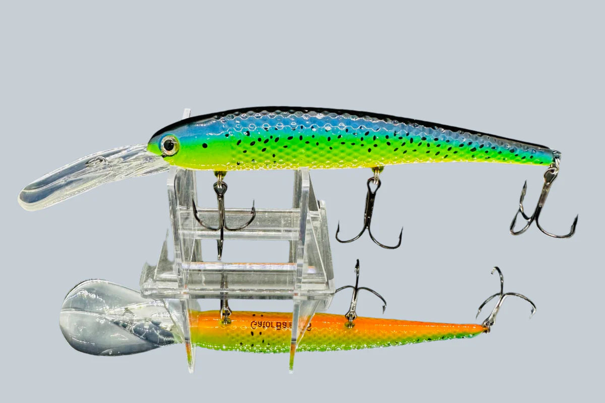 Gator Bait Lake Erie Slammer
