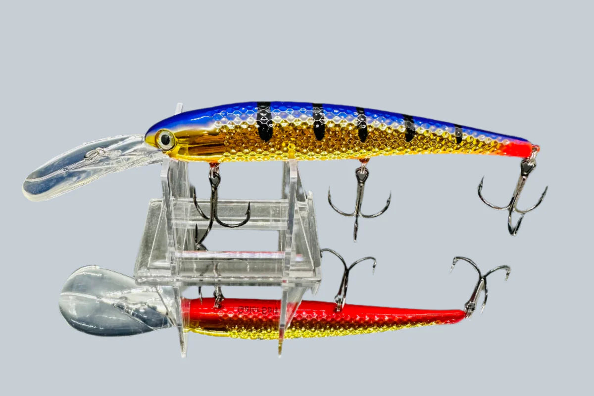 Gator Bait Lake Erie Slammer