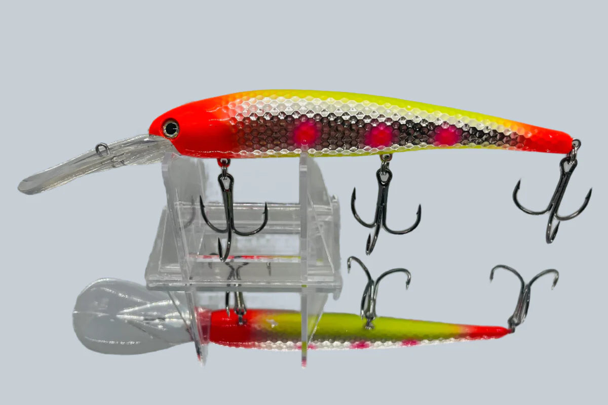 Gator Bait Lake Erie Slammer