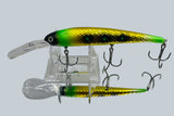 Gator Bait Lake Erie Slammer