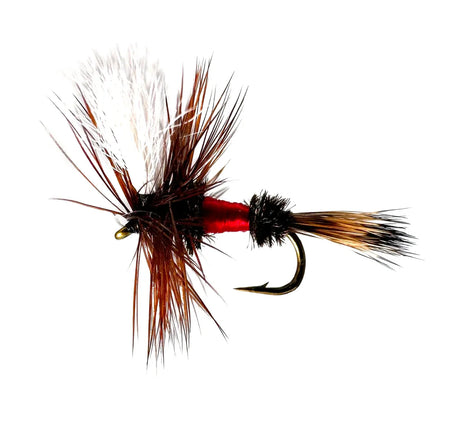 Fly fishing, Royal Coachman Dry Fly, Attractor Pattern, Trout Lure, Classic Fly Pattern, Barbed Hook, Fly Fishing Gear, Fly Patterns, Fly Tying, Fishing Lures, Dry Fly Fishing, Trout Fishing, Sizes #12 #14 #16, Brook Trout, Brown Trout, Rainbow Trout, Searching Pattern.