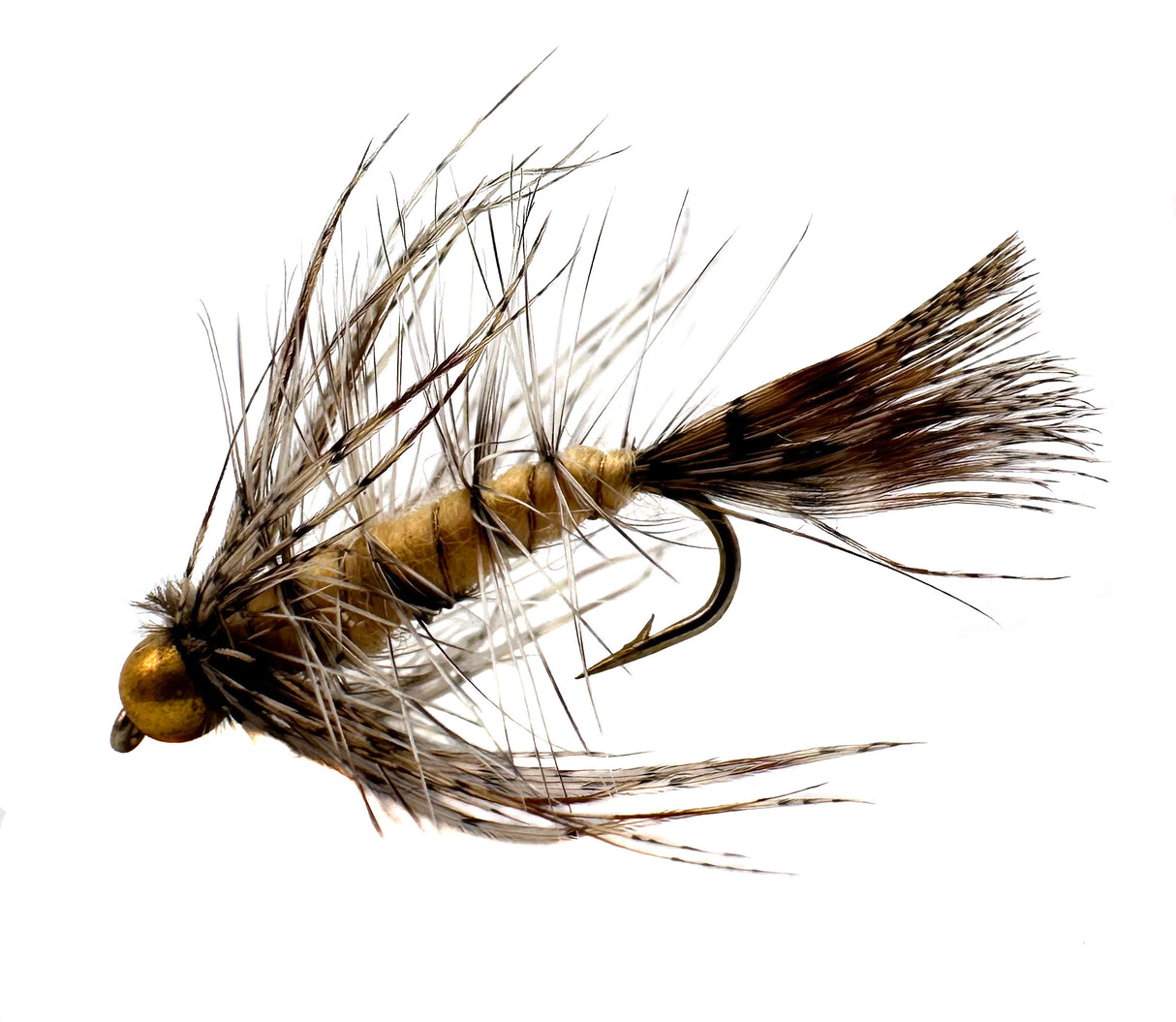 Tan Sparrow Nymph fly fishing lure, size 8, bead head, barbed hook, with buggy body and soft hackle collar.