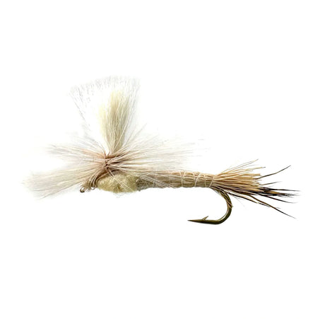 Shop the Traditional Parachute Hex Dry Fly, an essential pattern for the Hexagenia hatch. With a high-visibility post and realistic profile, sizes #6, #8, and #10 are ideal for targeting large trout during the emergence.