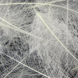 Wapsi CDC Cul-De-Canard Feathers