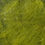 Wapsi CDC Cul-De-Canard Feathers
