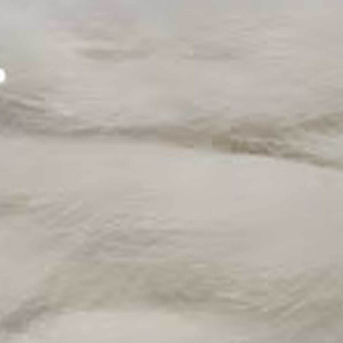 Fulling Mill Rabbit Zonker Standard Strips